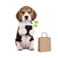 Un cachorro beagle con un celular en las patas, junto a una bolsa de compras